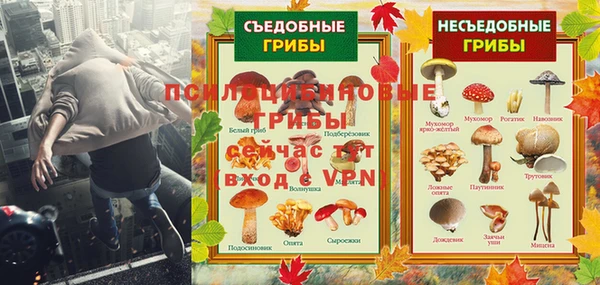 крисы Лабытнанги