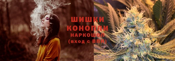 крисы Лабытнанги