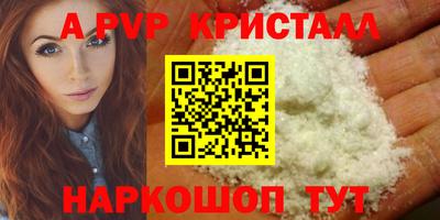 эйфоретик Пугачёв
