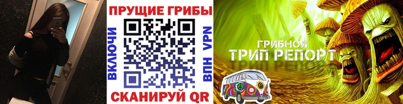 Псилоцибиновые грибы мицелий  мега tor  Тутаев  купить наркоту 