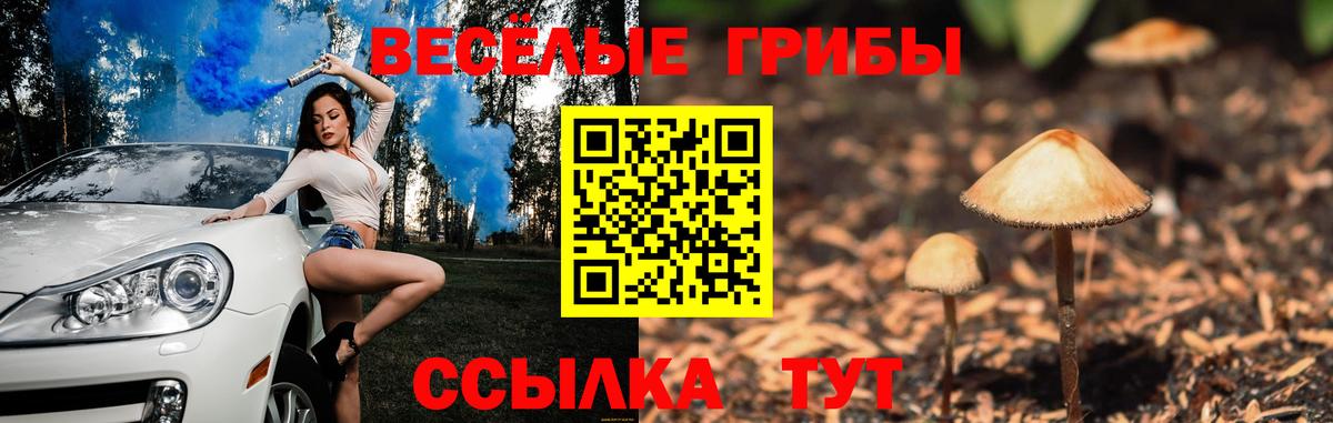 Псилоцибиновые грибы MAGIC MUSHROOMS Тутаев